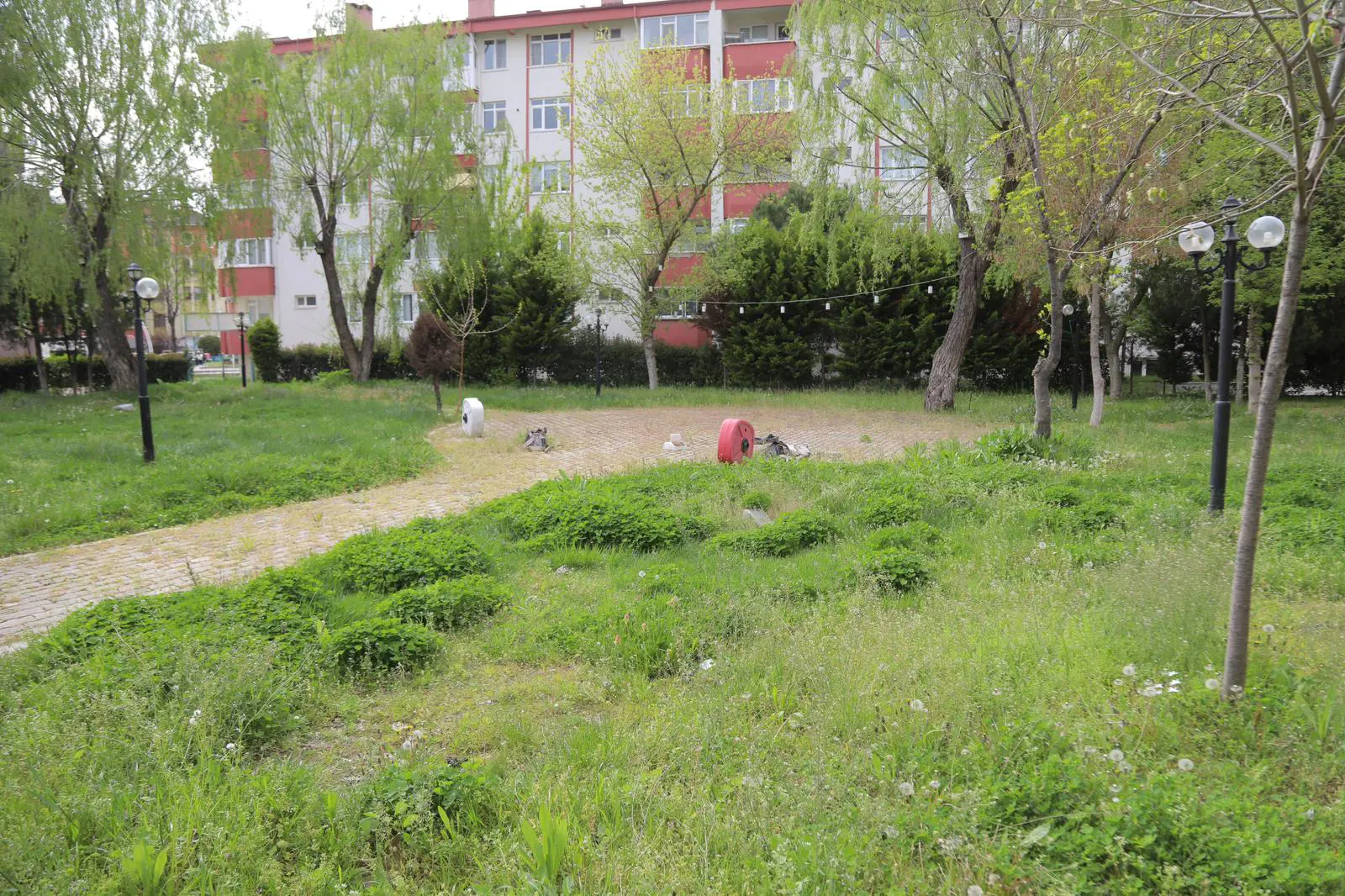 BAŞKAN GENCAN SAHADA: KAMU ALANLARI TEK TEK GERİ KAZANILIYOR galeri görseli